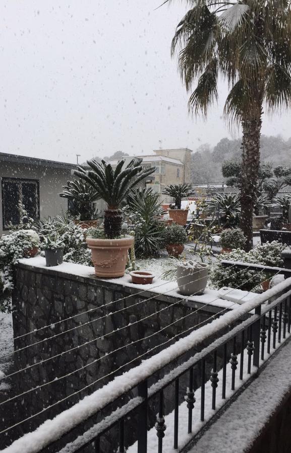 Carpe Diem B&B Ercolano Luaran gambar